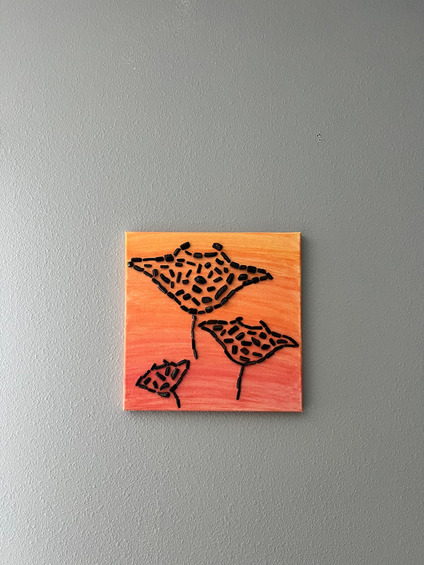Manta Rays (Mouth Plates)