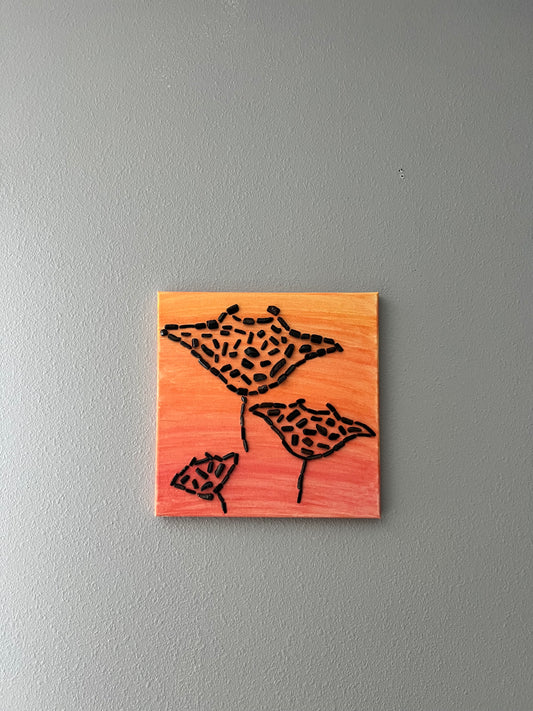 Manta Rays (Mouth Plates)