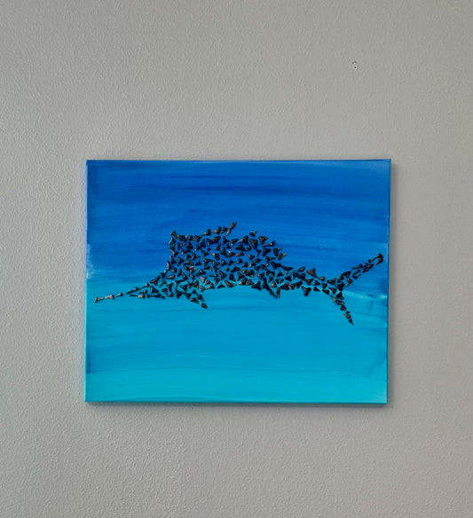Sail Fish