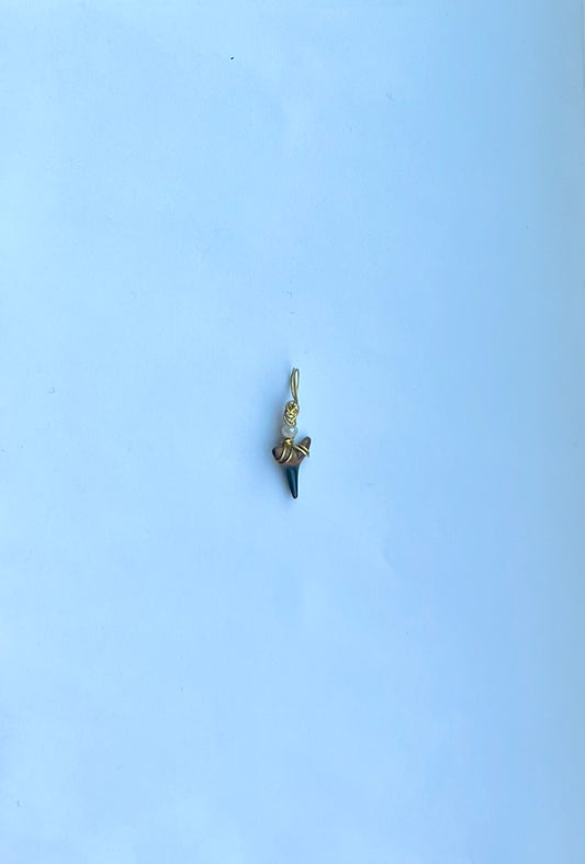 Beaded Shark Tooth Pendant