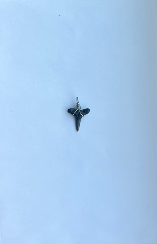 Shark Tooth Pendant