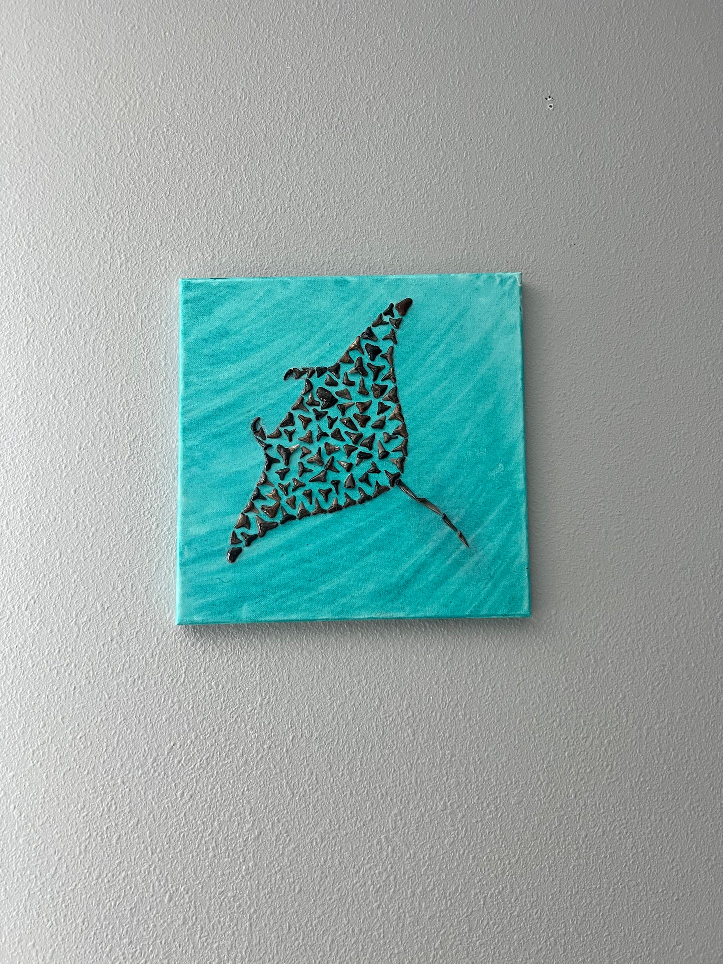 Manta Ray
